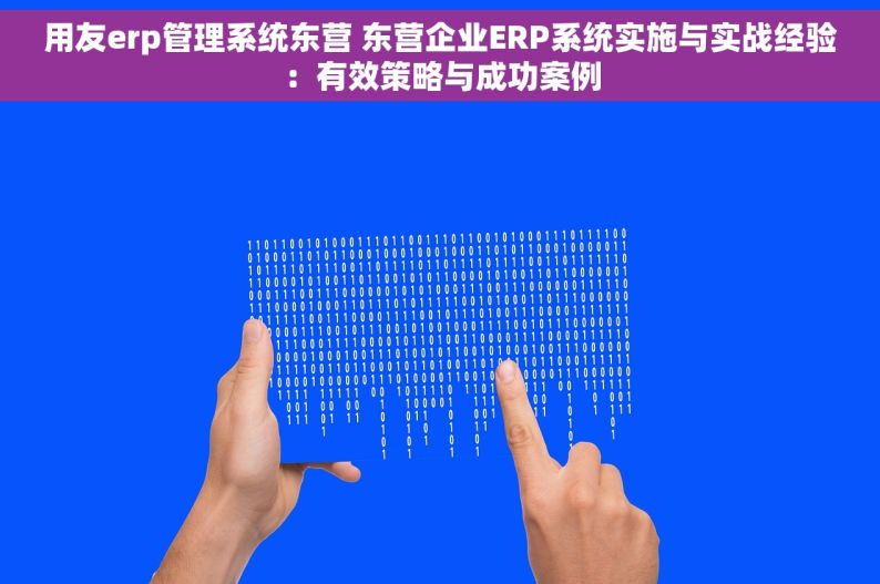 用友erp管理系统东营 东营企业ERP系统实施与实战经验：有效策略与成功案例