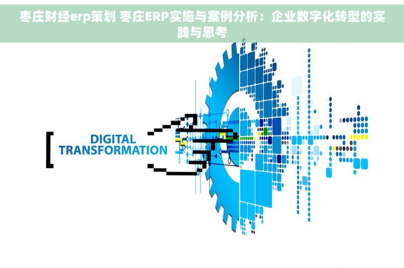 枣庄财经erp策划 枣庄ERP实施与案例分析：企业数字化转型的实践与思考