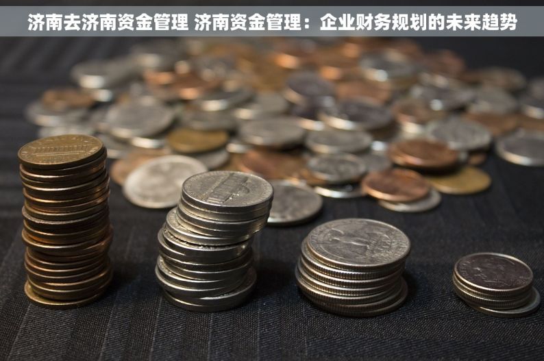 济南去济南资金管理 济南资金管理：企业财务规划的未来趋势