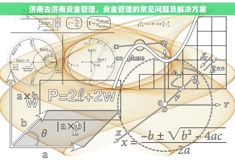 济南去济南资金管理，资金管理的常见问题及解决方案