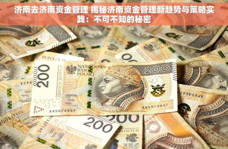 济南去济南资金管理 揭秘济南资金管理新趋势与策略实践：不可不知的秘密