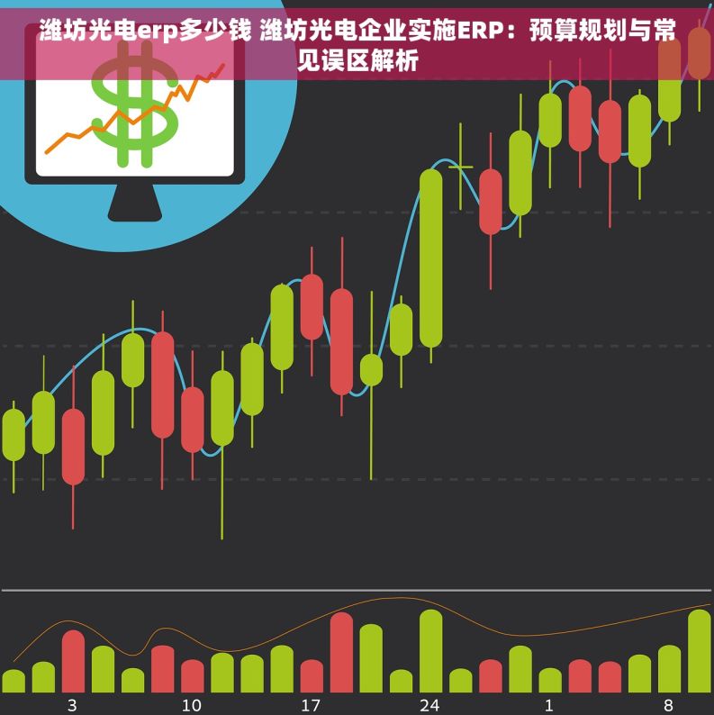 潍坊光电erp多少钱 潍坊光电企业实施ERP：预算规划与常见误区解析