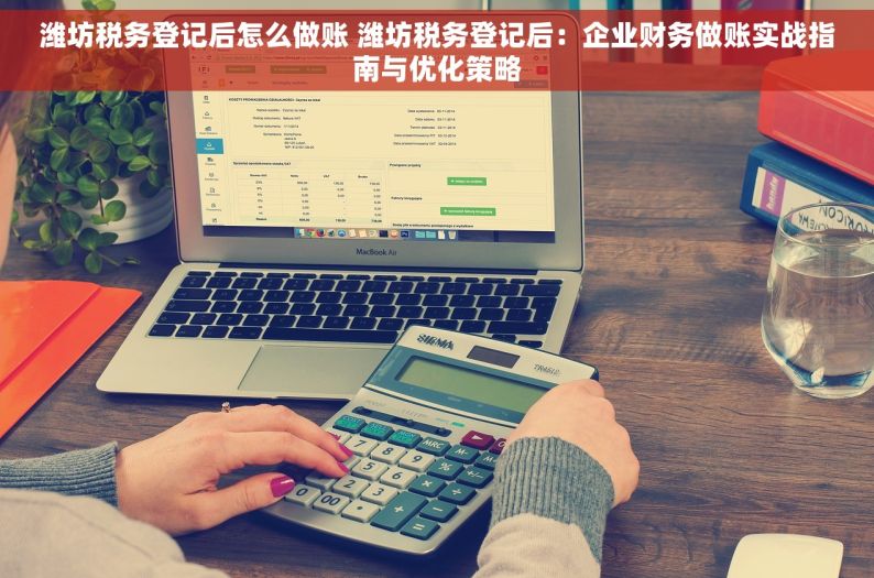 潍坊税务登记后怎么做账 潍坊税务登记后：企业财务做账实战指南与优化策略