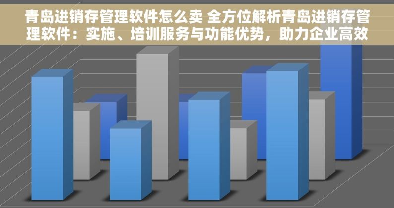 青岛进销存管理软件怎么卖 全方位解析青岛进销存管理软件：实施、培训服务与功能优势，助力企业高效管理