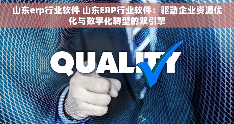 山东erp行业软件 山东ERP行业软件：驱动企业资源优化与数字化转型的双引擎