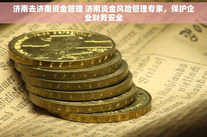 济南去济南资金管理 济南资金风险管理专家，保护企业财务安全