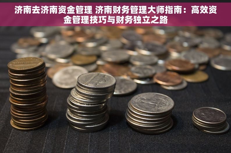 济南去济南资金管理 济南财务管理大师指南：高效资金管理技巧与财务独立之路