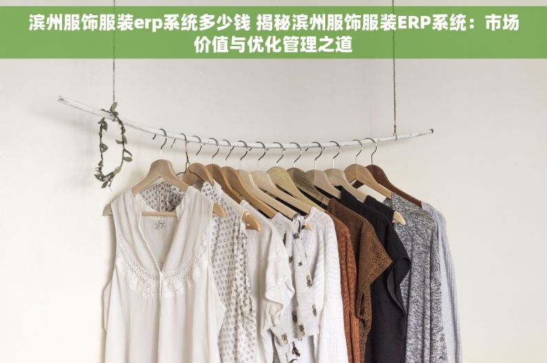 滨州服饰服装erp系统多少钱 揭秘滨州服饰服装ERP系统：市场价值与优化管理之道