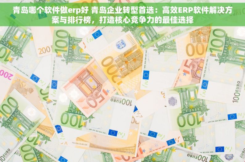 青岛哪个软件做erp好 青岛企业转型首选：高效ERP软件解决方案与排行榜，打造核心竞争力的最佳选择