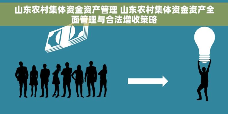 山东农村集体资金资产管理 山东农村集体资金资产全面管理与合法增收策略