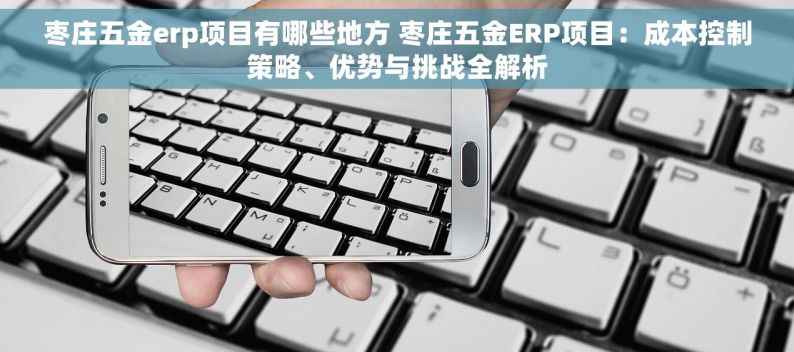 枣庄五金erp项目有哪些地方 枣庄五金ERP项目：成本控制策略、优势与挑战全解析