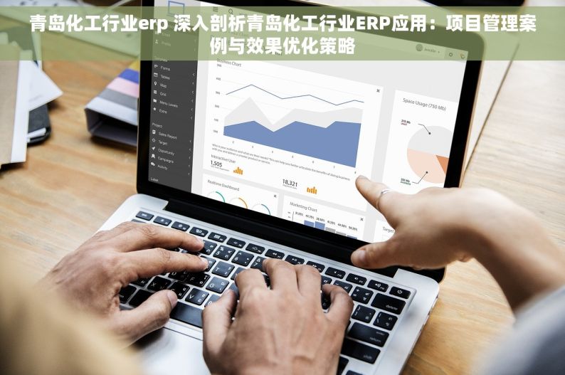 青岛化工行业erp 深入剖析青岛化工行业ERP应用：项目管理案例与效果优化策略