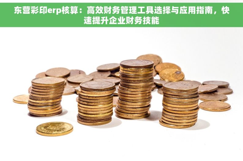 东营彩印erp核算：高效财务管理工具选择与应用指南，快速提升企业财务技能