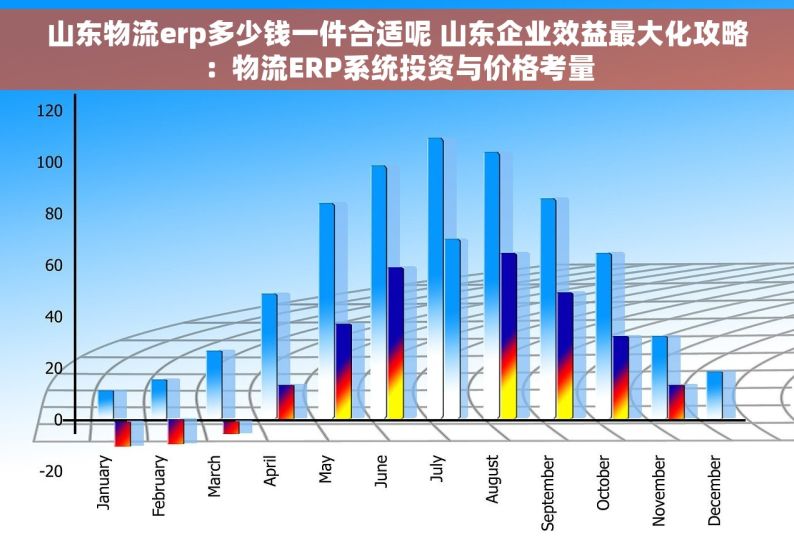 山东物流erp多少钱一件合适呢 山东企业效益最大化攻略：物流ERP系统投资与价格考量