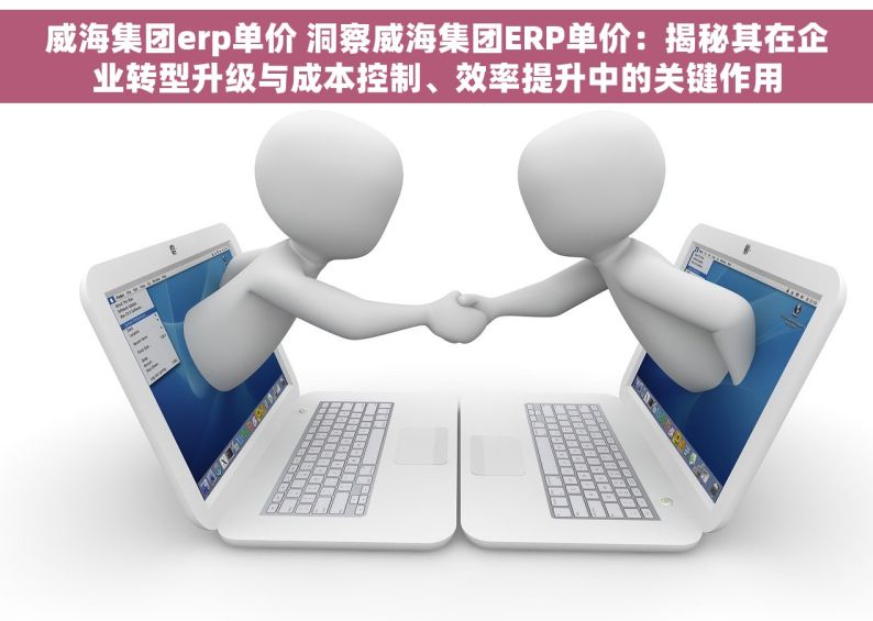 威海集团erp单价 洞察威海集团ERP单价：揭秘其在企业转型升级与成本控制、效率提升中的关键作用