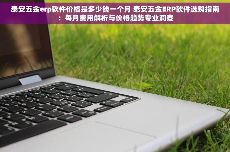 泰安五金erp软件价格是多少钱一个月 泰安五金ERP软件选购指南：每月费用解析与价格趋势专业洞察