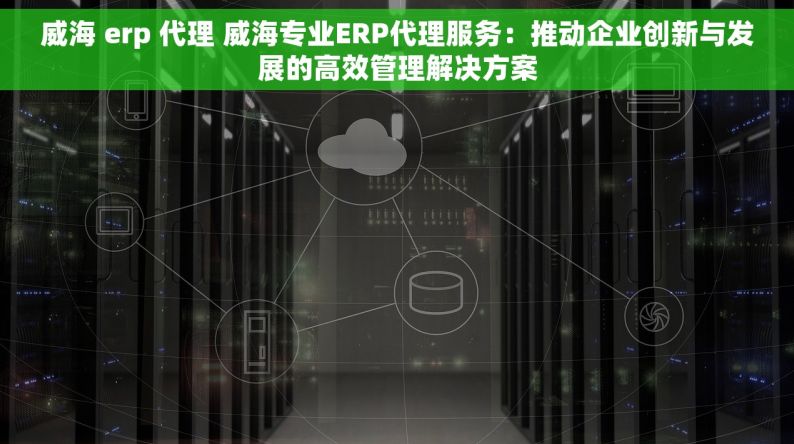 威海 erp 代理 威海专业ERP代理服务：推动企业创新与发展的高效管理解决方案