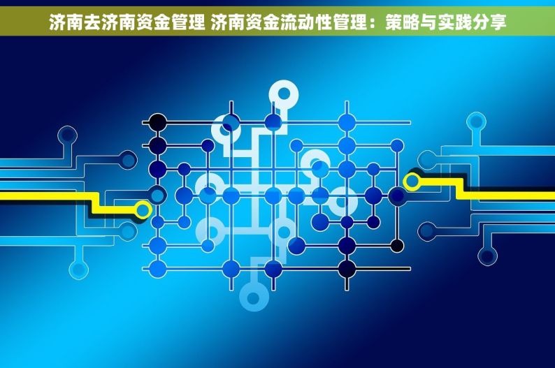 济南去济南资金管理 济南资金流动性管理：策略与实践分享