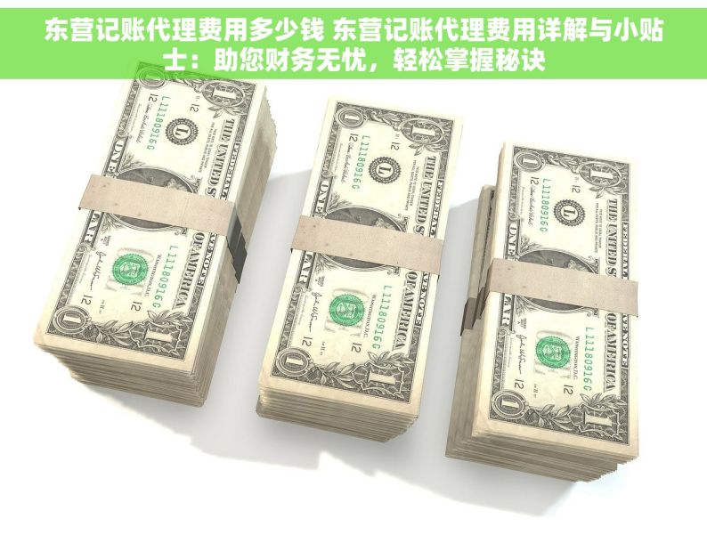 东营记账代理费用多少钱 东营记账代理费用详解与小贴士：助您财务无忧，轻松掌握秘诀