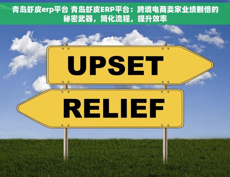 青岛虾皮erp平台 青岛虾皮ERP平台：跨境电商卖家业绩翻倍的秘密武器，简化流程，提升效率