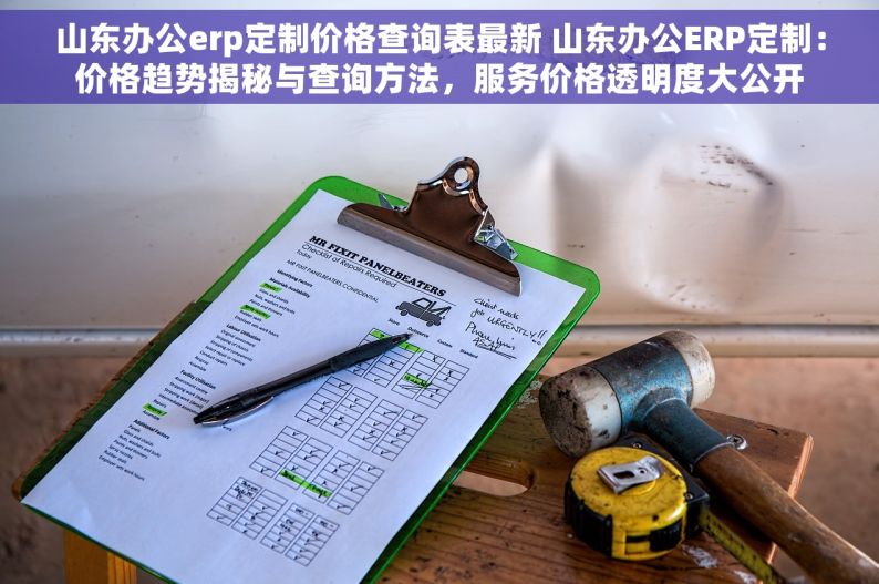 山东办公erp定制价格查询表最新 山东办公ERP定制：价格趋势揭秘与查询方法，服务价格透明度大公开