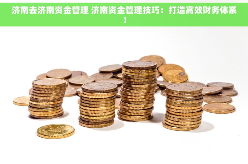 济南去济南资金管理 济南资金管理技巧：打造高效财务体系！