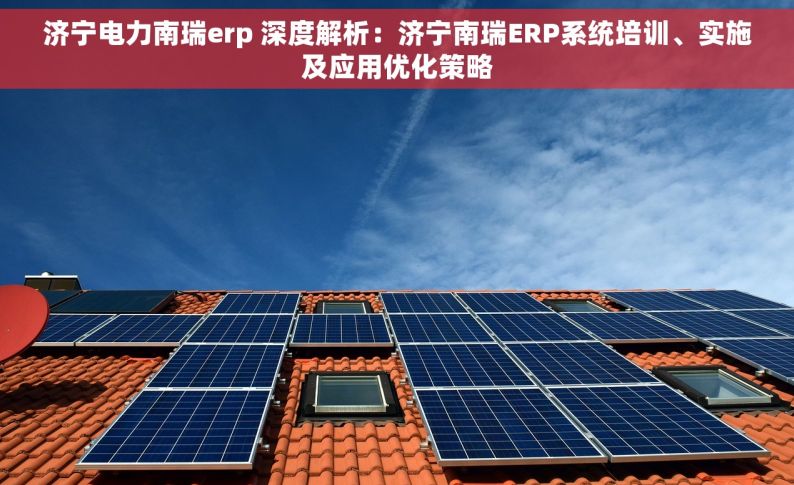 济宁电力南瑞erp 深度解析：济宁南瑞ERP系统培训、实施及应用优化策略