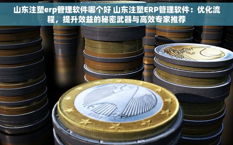 山东注塑erp管理软件哪个好 山东注塑ERP管理软件：优化流程，提升效益的秘密武器与高效专家推荐