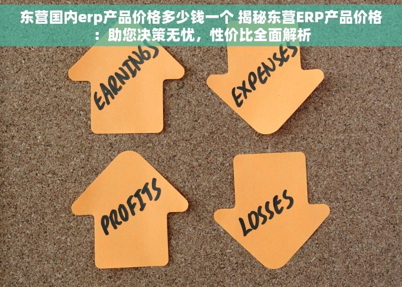 东营国内erp产品价格多少钱一个 揭秘东营ERP产品价格：助您决策无忧，性价比全面解析