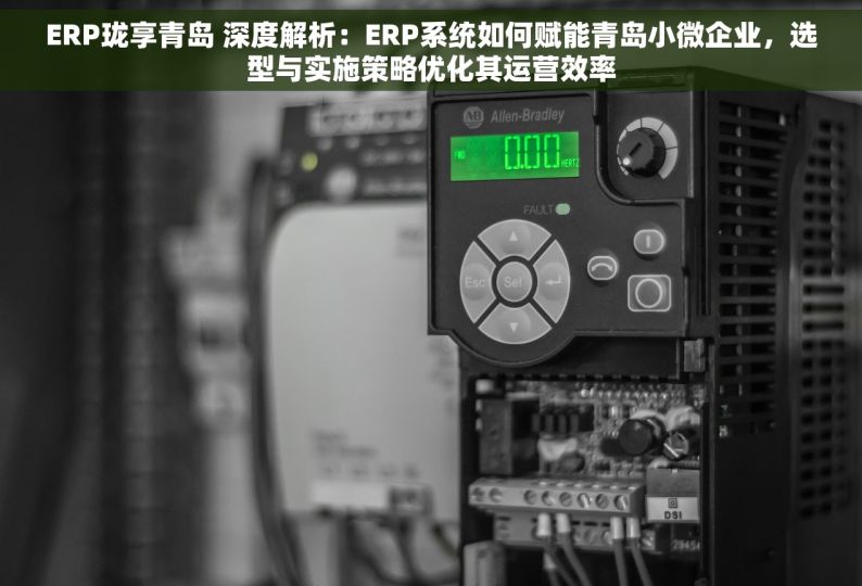 ERP珑享青岛 深度解析：ERP系统如何赋能青岛小微企业，选型与实施策略优化其运营效率