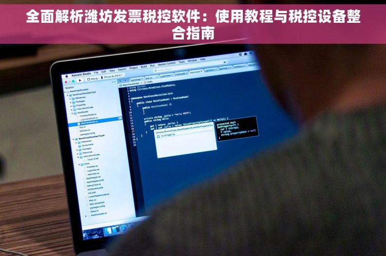 全面解析潍坊发票税控软件：使用教程与税控设备整合指南