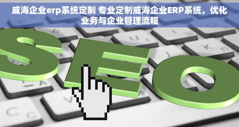 威海企业erp系统定制 专业定制威海企业ERP系统，优化业务与企业管理流程