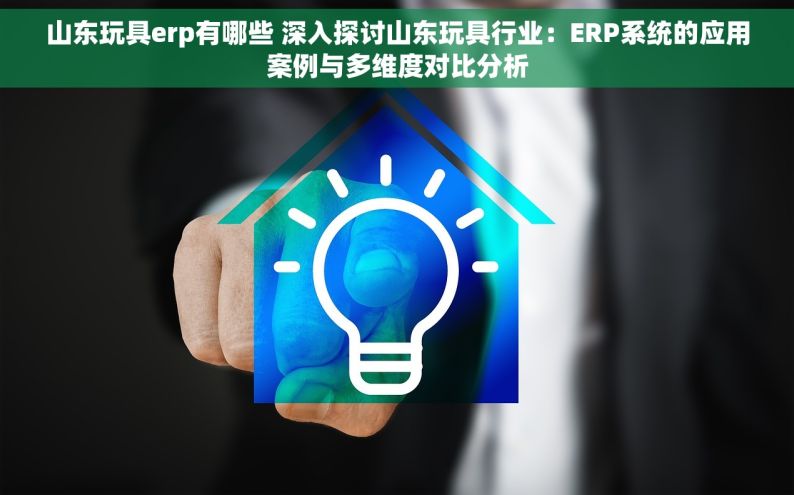 山东玩具erp有哪些 深入探讨山东玩具行业：ERP系统的应用案例与多维度对比分析