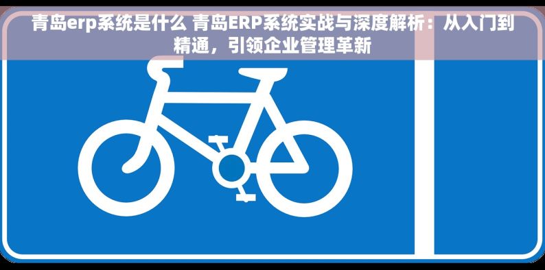 青岛erp系统是什么 青岛ERP系统实战与深度解析：从入门到精通，引领企业管理革新