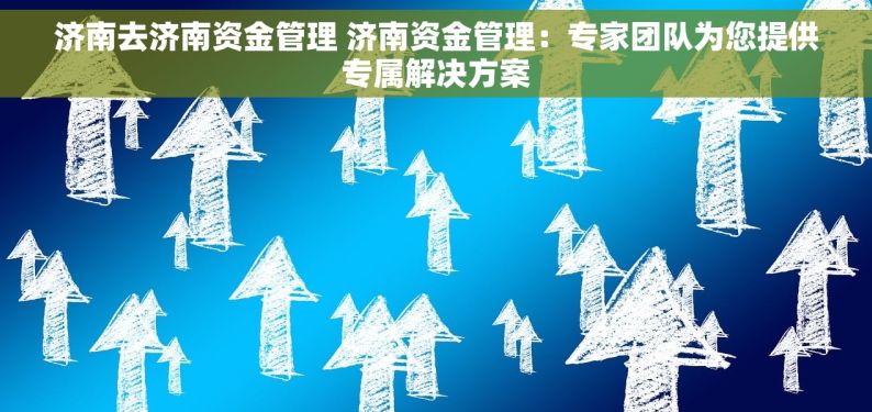 济南去济南资金管理 济南资金管理：专家团队为您提供专属解决方案