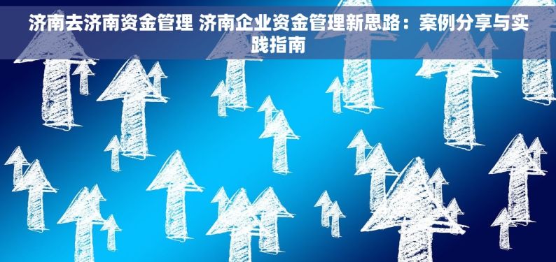 济南去济南资金管理 济南企业资金管理新思路：案例分享与实践指南