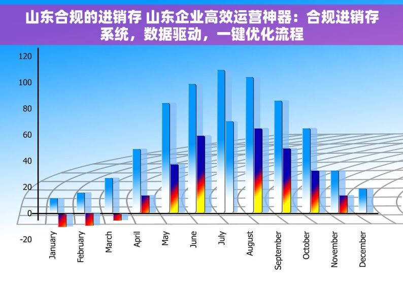 山东合规的进销存 山东企业高效运营神器：合规进销存系统，数据驱动，一键优化流程