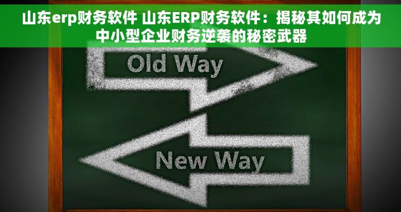 山东erp财务软件 山东ERP财务软件：揭秘其如何成为中小型企业财务逆袭的秘密武器