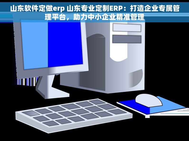 山东软件定做erp 山东专业定制ERP：打造企业专属管理平台，助力中小企业精准管理