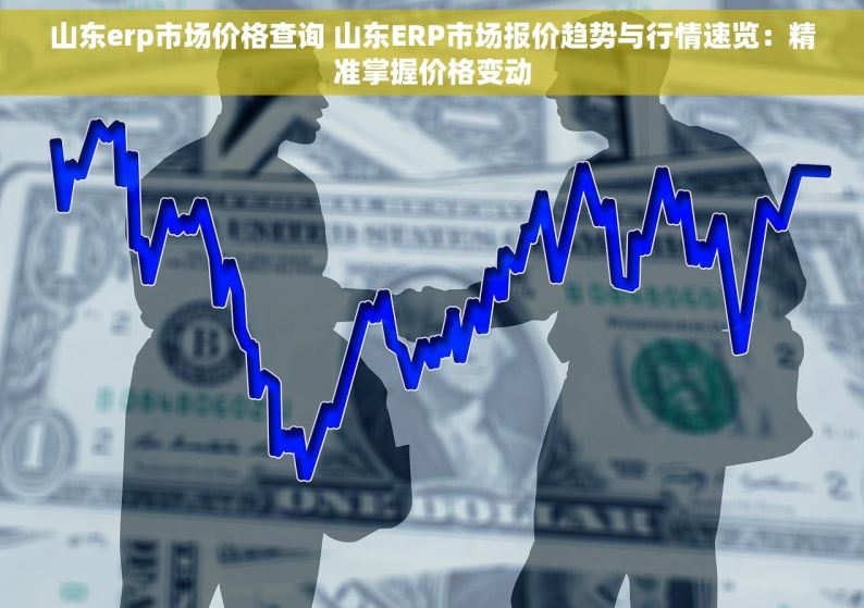 山东erp市场价格查询 山东ERP市场报价趋势与行情速览：精准掌握价格变动