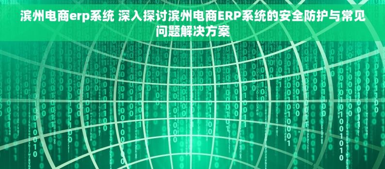 滨州电商erp系统 深入探讨滨州电商ERP系统的安全防护与常见问题解决方案