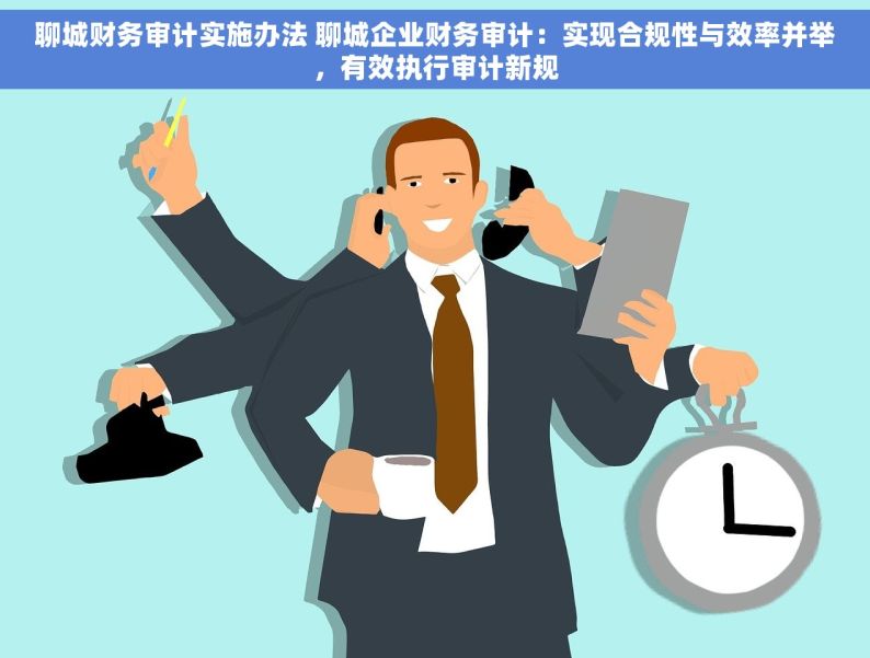 聊城财务审计实施办法 聊城企业财务审计：实现合规性与效率并举，有效执行审计新规