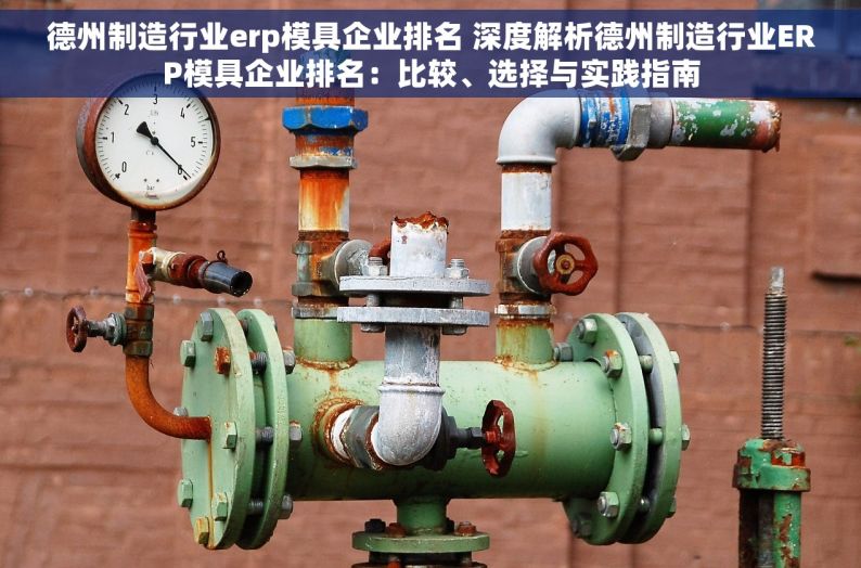 德州制造行业erp模具企业排名 深度解析德州制造行业ERP模具企业排名：比较、选择与实践指南