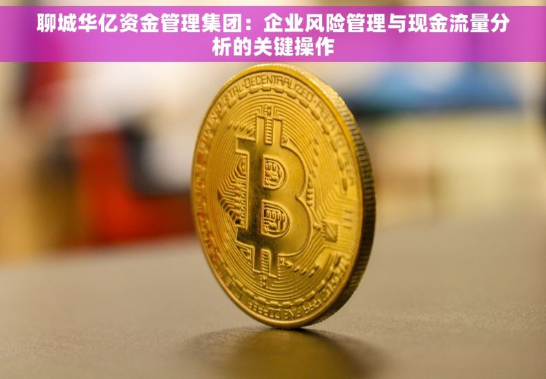 聊城华亿资金管理集团：企业风险管理与现金流量分析的关键操作