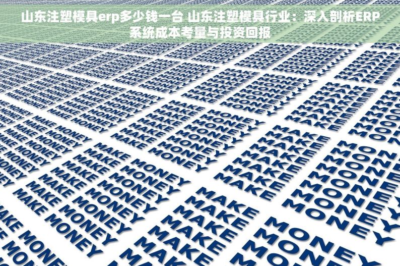 山东注塑模具erp多少钱一台 山东注塑模具行业：深入剖析ERP系统成本考量与投资回报