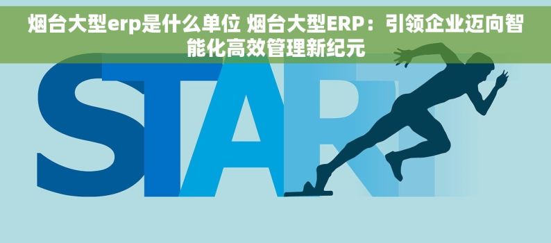 烟台大型erp是什么单位 烟台大型ERP：引领企业迈向智能化高效管理新纪元