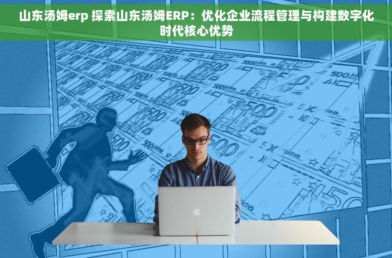 山东汤姆erp 探索山东汤姆ERP：优化企业流程管理与构建数字化时代核心优势