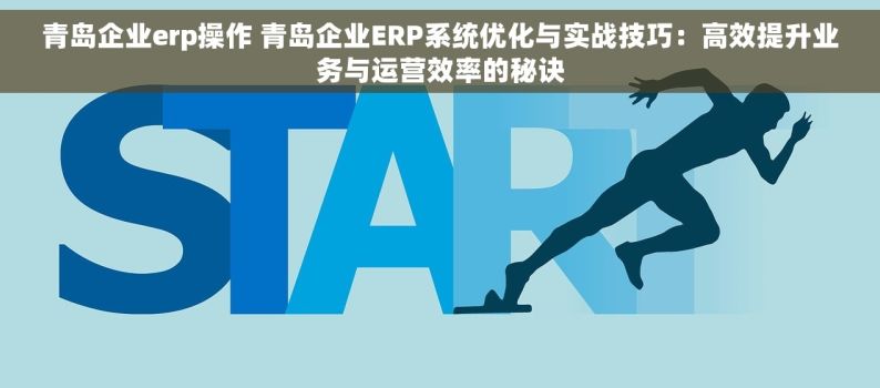 青岛企业erp操作 青岛企业ERP系统优化与实战技巧：高效提升业务与运营效率的秘诀