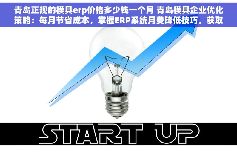 青岛正规的模具erp价格多少钱一个月 青岛模具企业优化策略：每月节省成本，掌握ERP系统月费降低技巧，获取专业服务