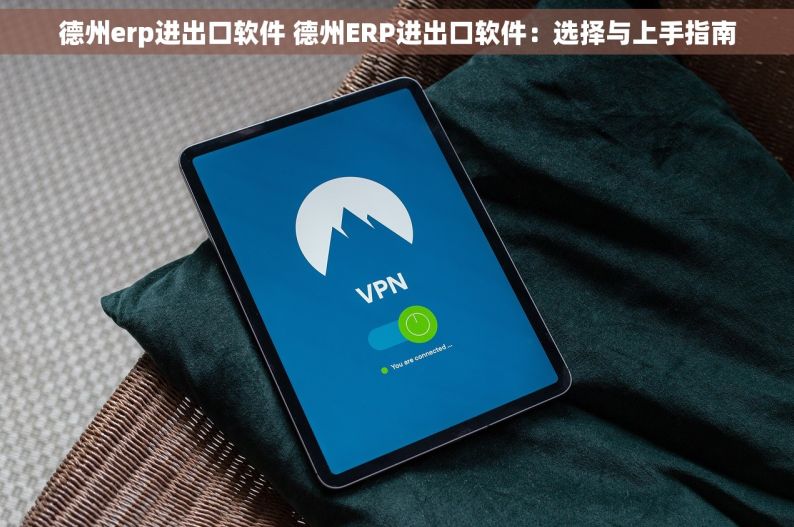 德州erp进出口软件 德州ERP进出口软件：选择与上手指南